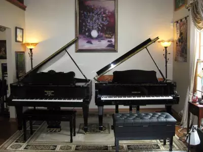 خرید انواع پیانو هایلون در تهران و کرج